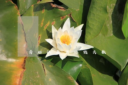 劳动法每月休假天数 劳动法每月休假天数