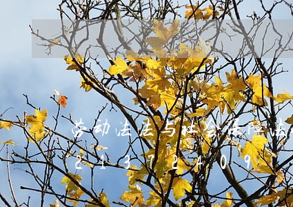劳动法法与社会保障法小论文/2023021372409 劳动法法与社会保障法小论文/2023021372409