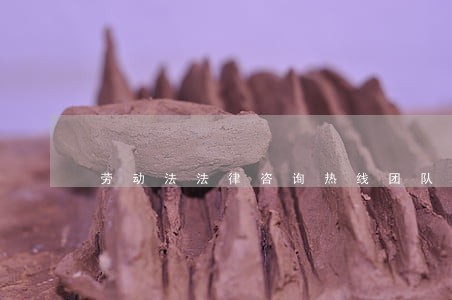 劳动法法律咨询热线团队 劳动法法律咨询热线团队