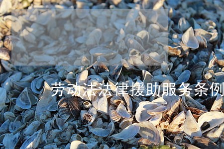 劳动法法律援助服务条例 劳动法法律援助服务条例