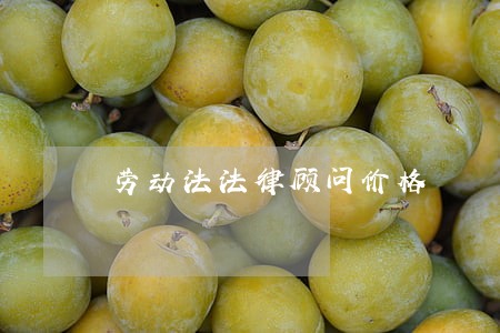 劳动法法律顾问价格 劳动法法律顾问价格
