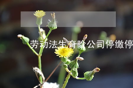 劳动法生育险公司停缴停缴法规 劳动法生育险公司停缴停缴法规