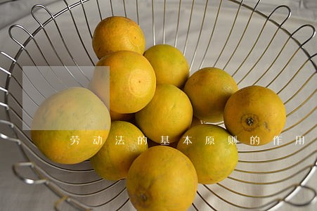 劳动法的基本原则的作用包括 劳动法的基本原则的作用包括