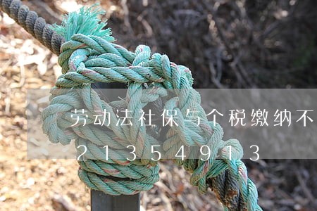 劳动法社保与个税缴纳不一致/2023021354913 劳动法社保与个税缴纳不一致/2023021354913