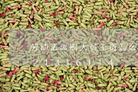 劳动法离职人员工资怎么发放/2023021316114