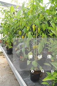 劳动法离职员工工作/2023021306946