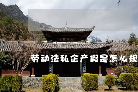 劳动法私企产假是怎么规定的 劳动法私企产假是怎么规定的