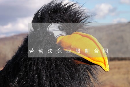劳动法竞业限制合同 劳动法竞业限制合同