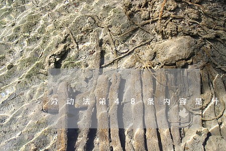 劳动法第48条内容是什么 劳动法第48条内容是什么