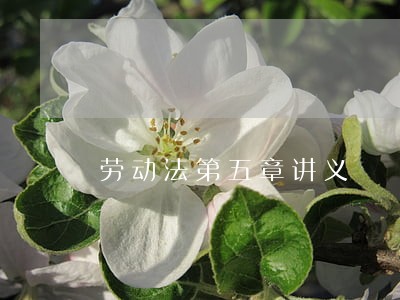 劳动法第五章讲义 劳动法第五章讲义