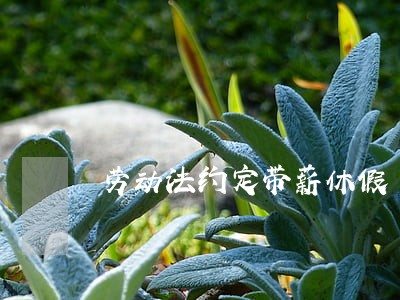 劳动法约定带薪休假 劳动法约定带薪休假