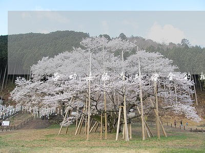 劳动法经济补偿金的概念和作用 劳动法经济补偿金的概念和作用