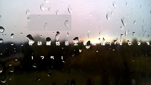劳动法给员工买社保/2023021341751