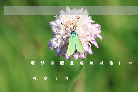 劳动法职业培训对象/2023021019014 劳动法职业培训对象/2023021019014