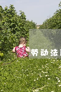 劳动法职工被开除 劳动法职工被开除