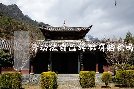 劳动法自己辞职有赔偿吗