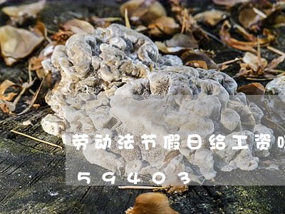 劳动法节假日给工资吗/2023021059403 劳动法节假日给工资吗/2023021059403