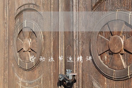 劳动法节选精讲 劳动法节选精讲