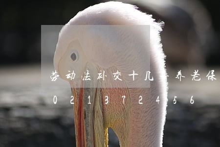劳动法补交十几年养老保险条例/2023021372456 劳动法补交十几年养老保险条例/2023021372456