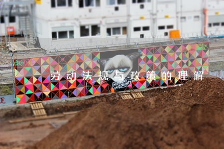 劳动法规与政策的理解 劳动法规与政策的理解