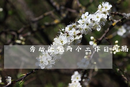劳动法规两个工作日间隔时间 劳动法规两个工作日间隔时间