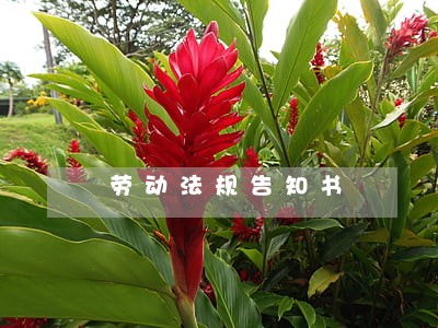 劳动法规告知书 劳动法规告知书