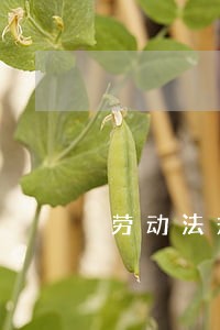 劳动法规定不能招超过多少岁的 劳动法规定不能招超过多少岁的
