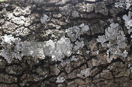 劳动法规定五十岁以上不上晚班 劳动法规定五十岁以上不上晚班