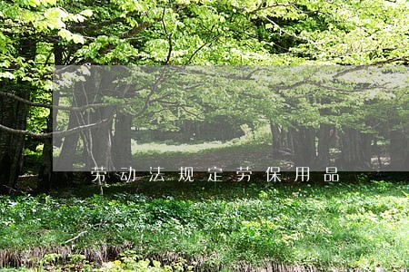 劳动法规定劳保用品 劳动法规定劳保用品