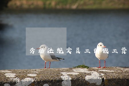 劳动法规定员工请假工资怎么算