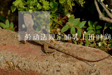劳动法规定哺乳上班时间 劳动法规定哺乳上班时间