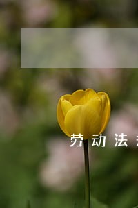 劳动法规定哺乳期工资计算方式