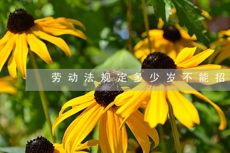 劳动法规定多少岁不能招 劳动法规定多少岁不能招