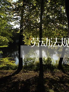 劳动法规定多少岁离职 劳动法规定多少岁离职