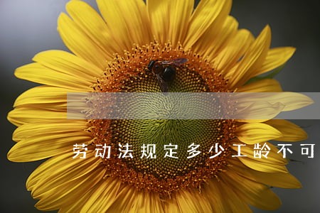 劳动法规定多少工龄不可辞退 劳动法规定多少工龄不可辞退