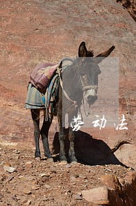 劳动法规定对有害安全