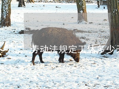 劳动法规定工休多少天 劳动法规定工休多少天