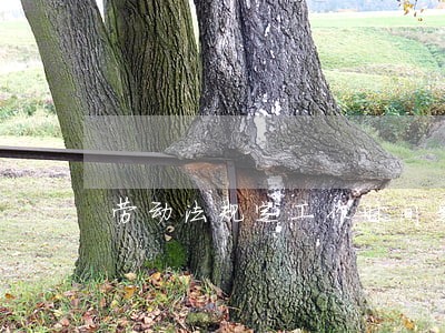 劳动法规定工作时间是什么 劳动法规定工作时间是什么