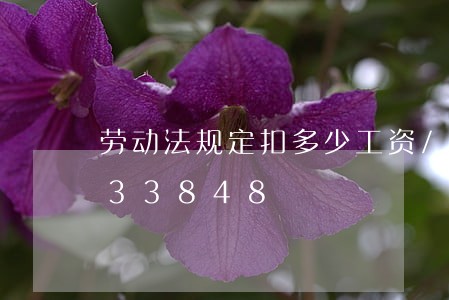 劳动法规定扣多少工资/2023021033848