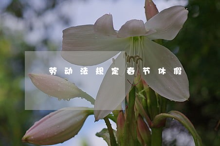 劳动法规定春节休假 劳动法规定春节休假