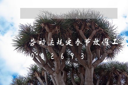 劳动法规定春节放假工资/2023021002693