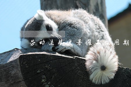 劳动法规定暑假工试用期 劳动法规定暑假工试用期