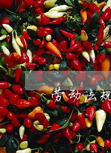 劳动法规定每月加班时间不超过