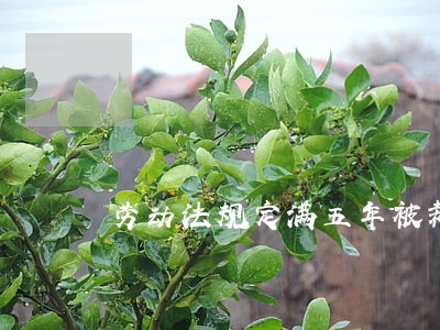 劳动法规定满五年被裁员赔偿方式 劳动法规定满五年被裁员赔偿方式