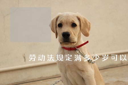 劳动法规定满多少岁可以录用 劳动法规定满多少岁可以录用
