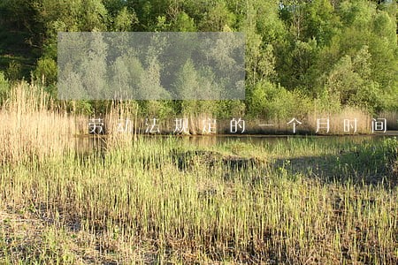 劳动法规定的一个月时间 劳动法规定的一个月时间