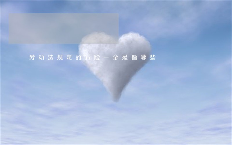 劳动法规定的五险一金是指哪些 劳动法规定的五险一金是指哪些