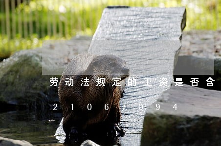 劳动法规定的工资是否含社保/2023021067094