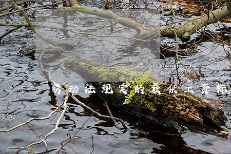 劳动法规定的最低工资标准是什么 劳动法规定的最低工资标准是什么