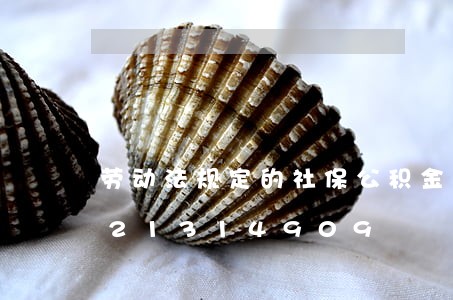 劳动法规定的社保公积金基数/2023021314909